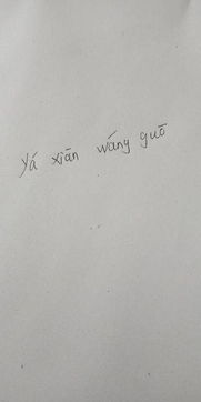 国旗拼音怎么写，敬礼拼音怎么写