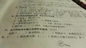 是的反义词是什么，暴躁的反义词