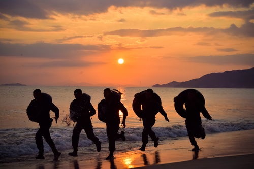 疾风劲草的拼音，疾风劲草下一句