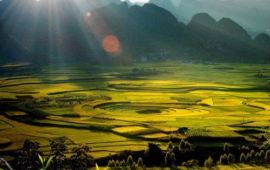 兴义天气24小时预报，兴义天气预报当地15天查询结果