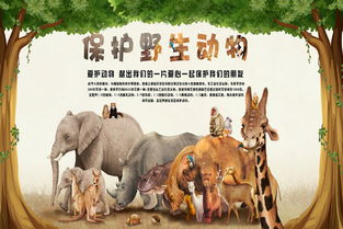 保护野生动物宣传语20字，保护野生动物宣传语简短