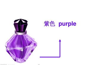 purple怎么读?