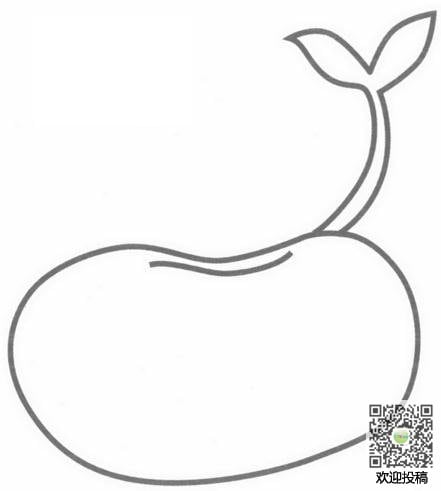 粽子简笔画图片，种子简笔画彩色