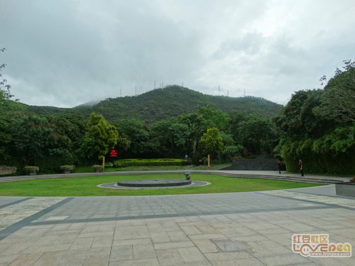 阳西月亮湾在哪里