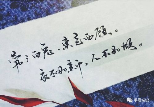 茕茕白兔东走西顾衣不如新人不如故的意思，茕茕孑立,孑孓而行
