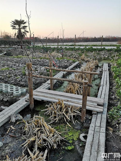 遇水搭桥上一句是什么，遇水架桥是什么意思