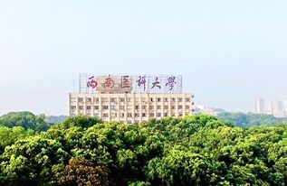 四川有哪些大学?