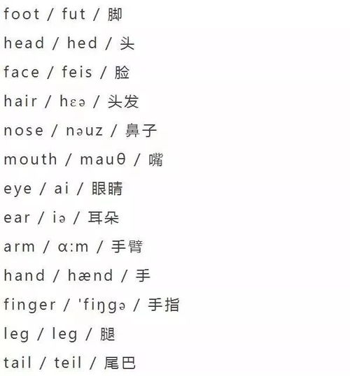 pleit 是什么单词的音标 快