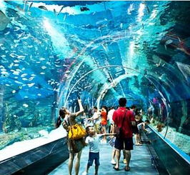 济南极地海洋世界门票多少钱一张，下雨天去济南极地海洋世界