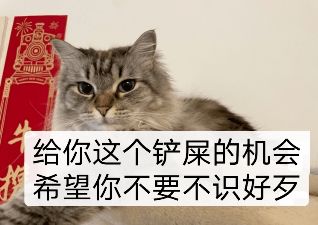 "白目"是什么意思? 谢谢!