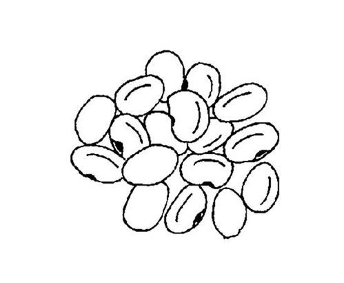 豌豆怎么画简笔画