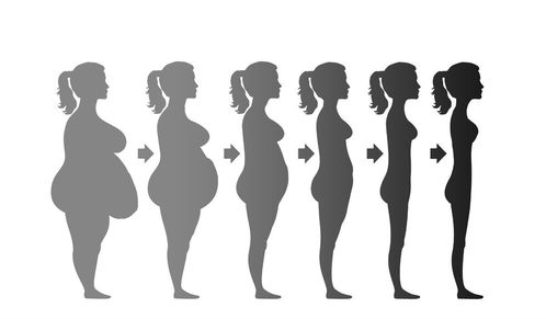 瘦的英文单词怎么写英语