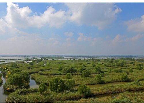 填字组词和拼音，填字组词和部首