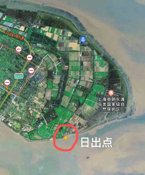 明天上海奉贤南桥天气怎么样?