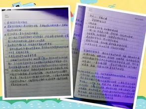 读报心得体会800字，读报心得体会800