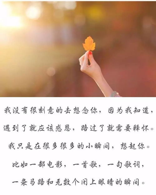 偶尔还是会想起你歌词，偶尔还是会想起你简谱