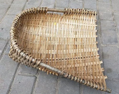 撮箕是什么意思