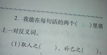 “彼”字的反义词是什么