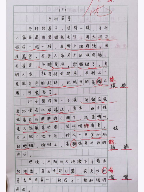 乡村的美景作文600字四年级