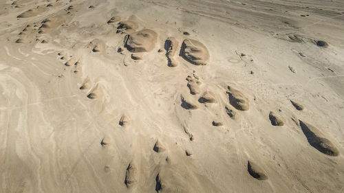 荒凉近义词是什么