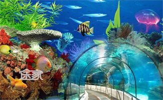 北京海底世界门票价格，北京海底世界在哪个区