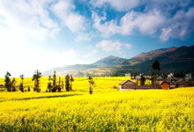 宜宾到张家界自驾游