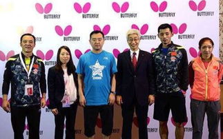 souash的翻译是:什么意思