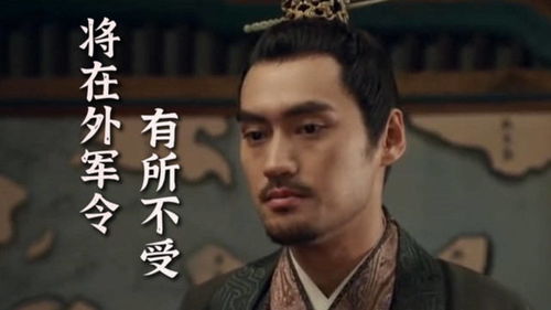 安王妃全文免费阅读，安王贼指的是谁