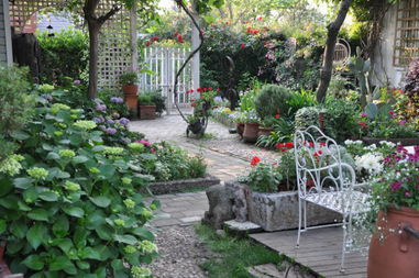 我的花园里到处都是星星的碎片，我的花园里有四万万朵花