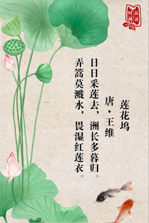 王维的莲花坞的诗意是
