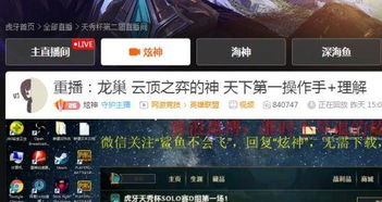 炫的意思是什么生肖，炫耀的意思