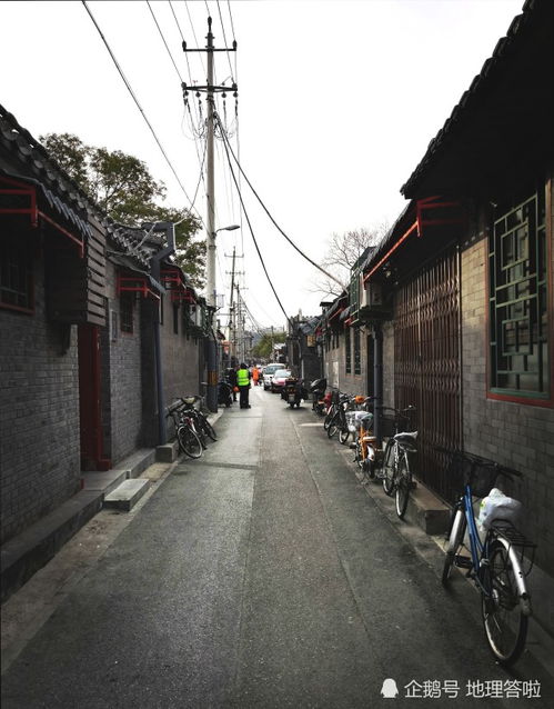 老北京的小胡同读后感，老北京的小胡同的批注