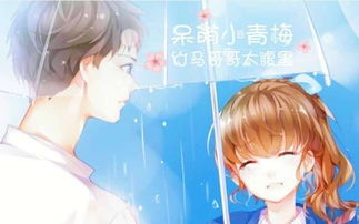 女主是白小兔,男主是程之言的那部小说叫什么?