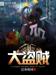 大盗贼霍琛布鲁茨，大盗贼读后感