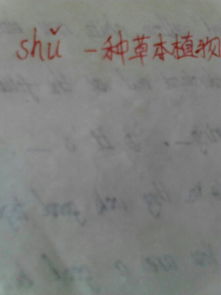 高可二黍许的许是什么意思 核舟记原文