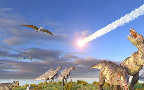 恐龙的英语怎么读?