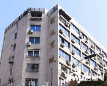 沈逸谢池是什么关系