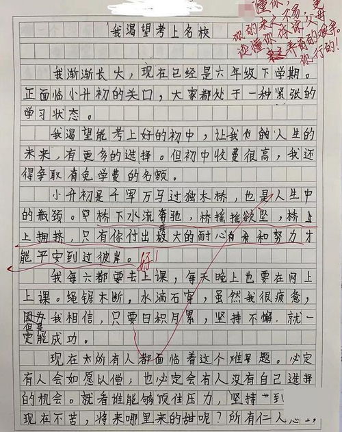 看见作文800字初中，看见作文600