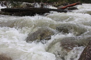 奔流不息是什么意思