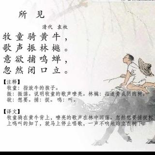 所见古诗朗读视频慢读解释，三年级语文所见古诗朗读