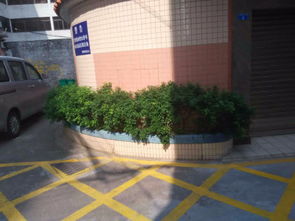 丰裕餐饮，丰裕生煎