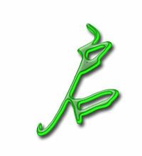 “启”的组词有哪些?