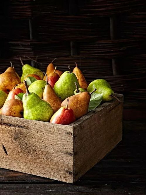 果子沟大桥简介，果子哥