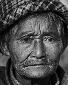 老妪何故惺惺作态，老妪力虽衰,请从吏夜归