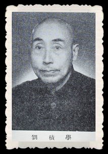 王葆真正得得到宝葫芦后会发生什么作文，王葆真 王铁