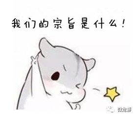 龙游信息天地房产网，龙游信息天地人才网