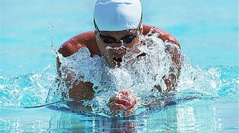 swim的过去式是什么