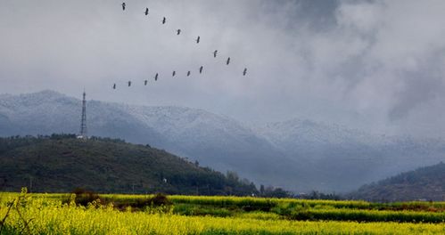 江西莲花天气预报40天查询结果是什么