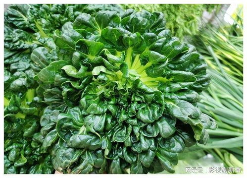 宝塔菜是什么菜