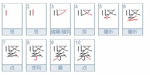 紧组词拼音，紧组词100个